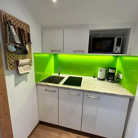 Appartement Vogelnest Mit Dachsteinblick&pool