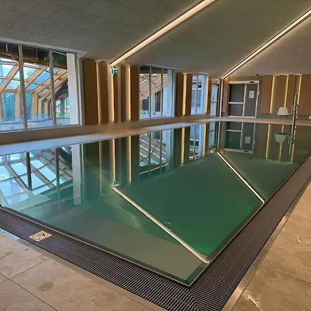 Vogelnest Mit Dachsteinblick&pool Appartement *