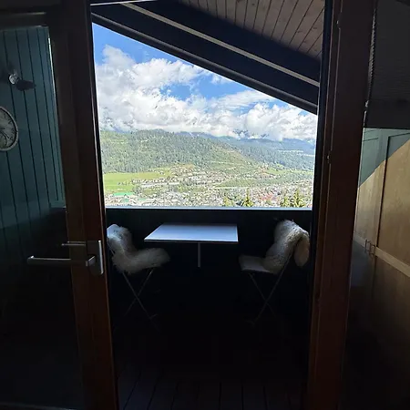 Vogelnest Mit Dachsteinblick&pool Appartement