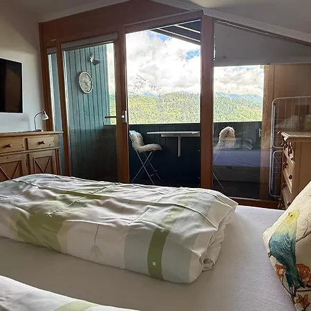 Appartement Vogelnest Mit Dachsteinblick&pool Schladming